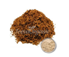 Pure Yohimbe Bark Extract | Manufacturer & Wholesaler