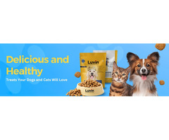 Shop Best Dog Nutrition Bar Food Treat Online