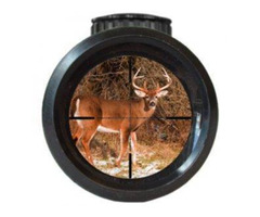 Best Scope Focus Ring at affordable price | Scopeaid