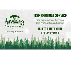 Lot Clearing NJ – Amazing Tree Services