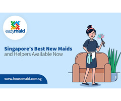 Singapore’s Best New Maids and Helpers Available Now