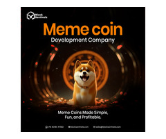 What Drives the Value of a Meme Coin: Speculation or Community Trust?