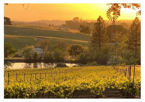 Fair Play Wineries - Discover Award-Winning Wine Experiences