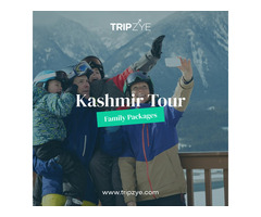 kashmir packages for family