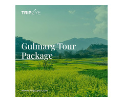 gulmarg kashmir tour package