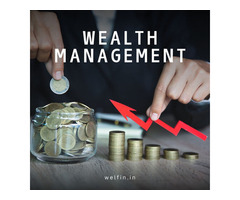 wealth management company india