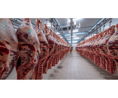 Bovine Beef wholesale, Wholesale Frozen Chocken