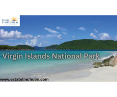 Explore the Wonders of Virgin Islands National Park