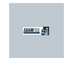 AdamPro rendering