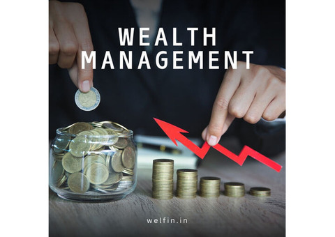 indian wealth management companies