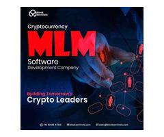 Top Crypto MLM Software Development - Blocksentinels