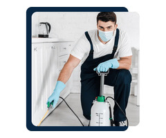 Home Pest Control Services | Pest Guardians