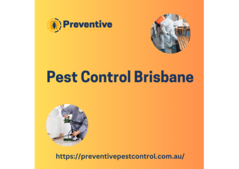 Pest Control Brisbane - Preventive Pest Control