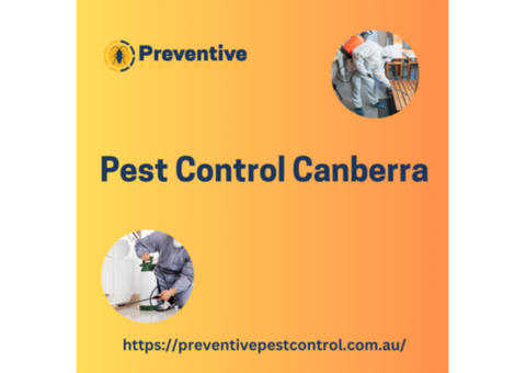 Pest Control Canberra - Preventive Pest Control