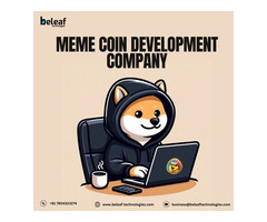 Use our meme coin development company to create a meme coin in a day.