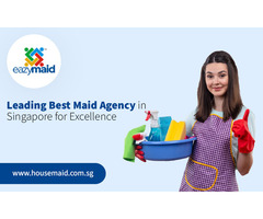 Leading Best Maid Agency in Singapore for Excellence