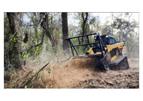 Smith County and Jasper County Land Clearing: Forestry Mulching Pros