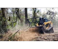 Smith County and Jasper County Land Clearing: Forestry Mulching Pros