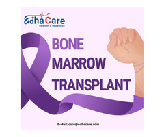 Best Cost Of Bone Marrow Transplant In Ogun State, Nigeria