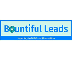 Bountiful Leads - Cold Email Ebook