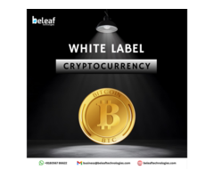 Best Whitelabel crypto exchange software Company - Beleaf Technologies