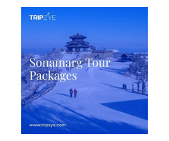 sonmarg tour packages