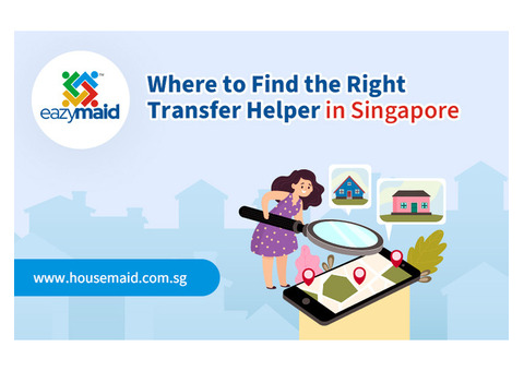 Where to Find the Right Transfer Helper Singapore