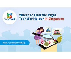 Where to Find the Right Transfer Helper Singapore