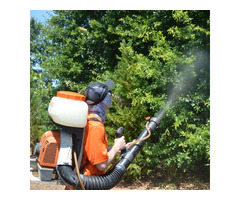 Mosquito Control System