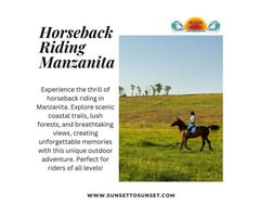 Scenic Horseback Riding Adventures in Manzanita, Oregon