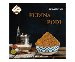 Best Pudina podi in Andhra Pradesh