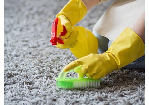 Carpet cleaning gold coast - Ezydry
