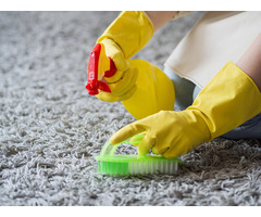 Carpet cleaning gold coast - Ezydry