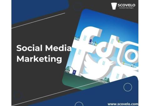 Social Media Management Agency In Chennai - ScoVelo Consulting