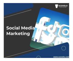 Social Media Management Agency In Chennai - ScoVelo Consulting