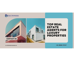 Top Real Estate Agents for Luxury Properties