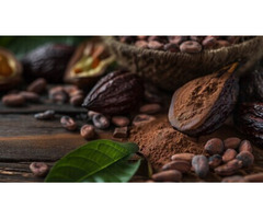 Discover Cocoa Polyphenols Benefits for Better Health