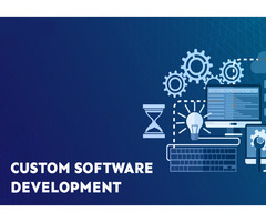 Custom Software Development