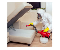 Expert Bed Bug Treatment Services by Pest Guardians