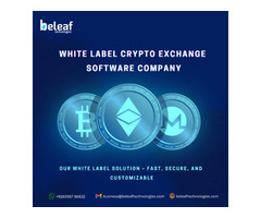 Leading White label crypto exchange Company - Beleaf Technologies