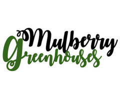 Lumen & Forge Greenhouse - Mulberry Greenhouses