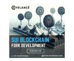 Get Your SUI Blockchain Forking Service From Hivelance