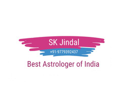 Specialist astrologer Lal Kitab Vedic+91-9779392437