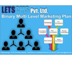 Binary Calculation | Binary Multilevel Marketing (MLM) Plan Software