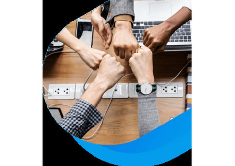 Tailored strategies that maximize visibility and rank higher