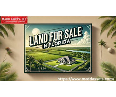 Find Your Premium Land for Sale in Florida