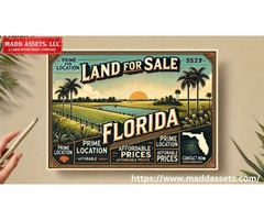 Find Your Premium Land for Sale in Florida