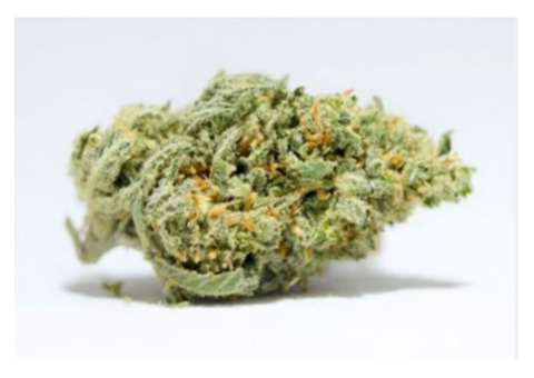 Explore San Diego's Finest Dispensaries