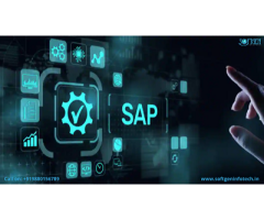 The Best SAP Training in BTM Bangalore - Softgen Infotech