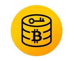 Bitcoin Recovery Service